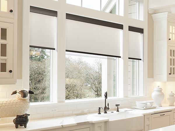 Inside Mount Roller Blind